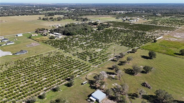 Altman Rd, Wauchula, FL 33873