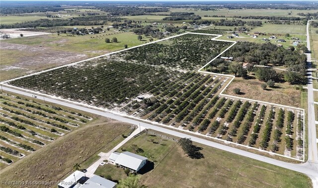 Altman Rd, Wauchula, FL 33873