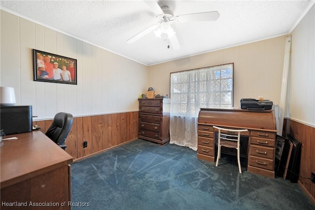 3150 Schontag Rd, Wauchula, FL 33873 - office space with ornamental molding, dark carpet, a textured ceiling, and ceiling fan