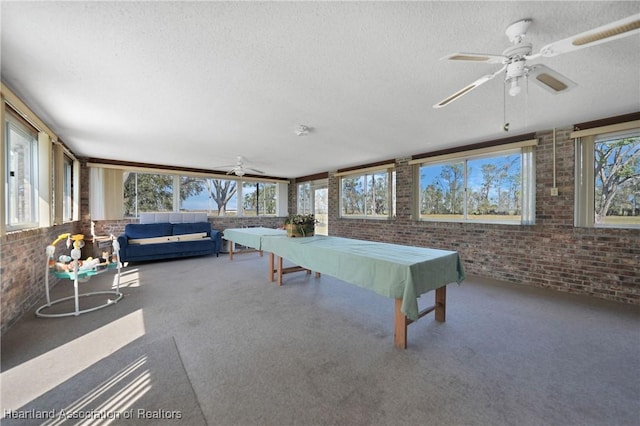 3150 Schontag Rd, Wauchula, FL 33873 - rec room featuring a textured ceiling, brick wall, carpet floors, and a ceiling fan