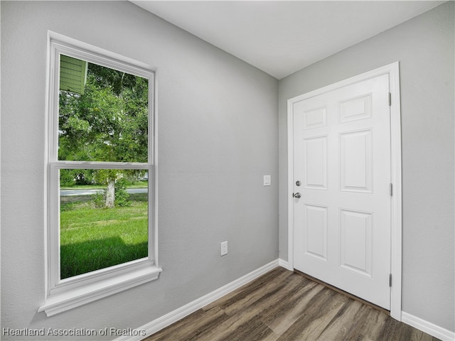 entrance foyer with plenty of natural light and dark wood-type flooring