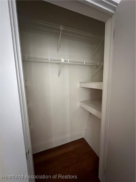 walk in closet with dark wood-type flooring