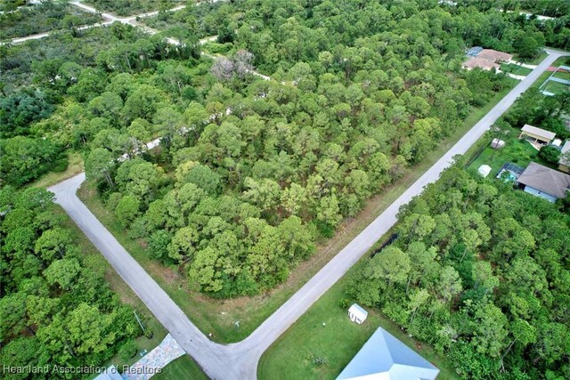 433 Archer Ave, Lake Placid, FL 33852 - photo 6