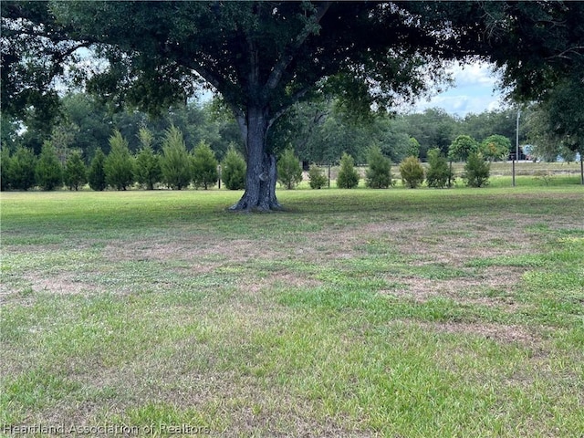 913 County Road 731, Venus, FL 33960 - photo 3