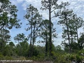1133 Redbird St, Lake Placid, FL 33852 - photo 2