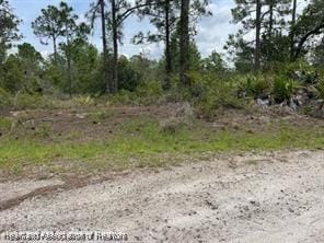 1133 Redbird St, Lake Placid, FL 33852 - photo 3