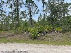 1133 Redbird St, Lake Placid, FL 33852 - photo 1