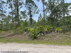 1133 Redbird St, Lake Placid FL, 33852 land for sale