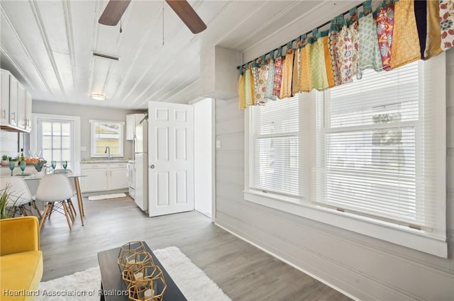 dining space with ceiling fan, light wood-type flooring, and sink