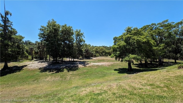 view of yard with a rural view