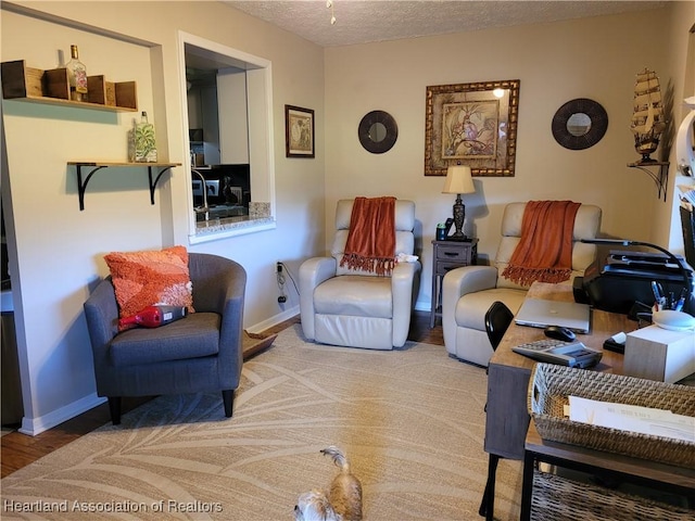 living room featuring a textured ceiling