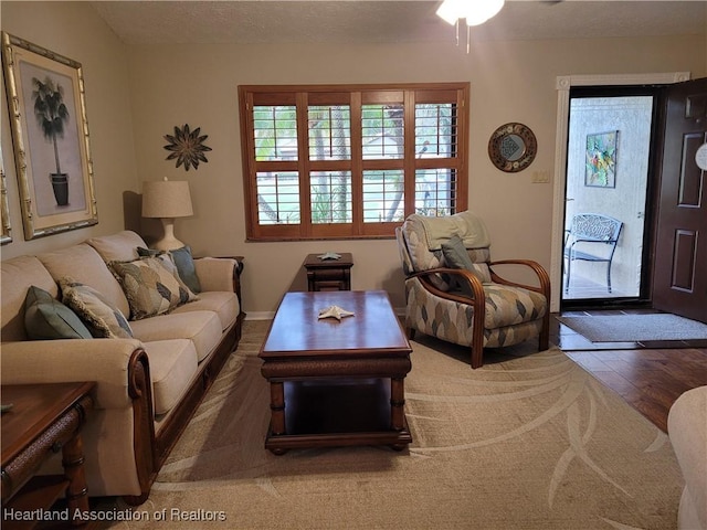 living room featuring dark wood-type flooring