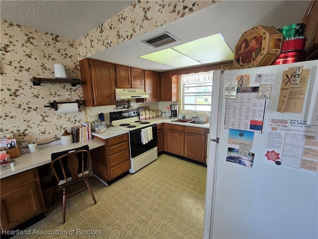 kitchen with sink, a textured ceiling, and white appliances