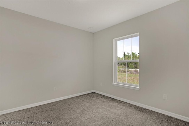 spare room with carpet flooring