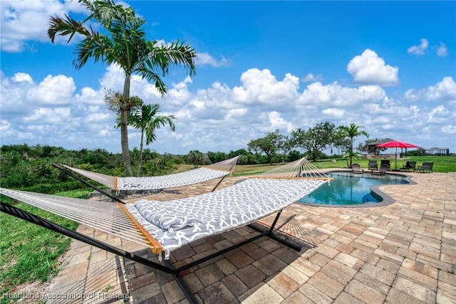 509 Bear Rd, Lake Placid, FL 33852 - swimming pool featuring a patio