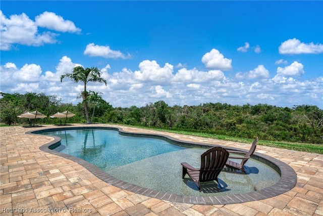 509 Bear Rd, Lake Placid, FL 33852 - outdoor pool featuring a patio