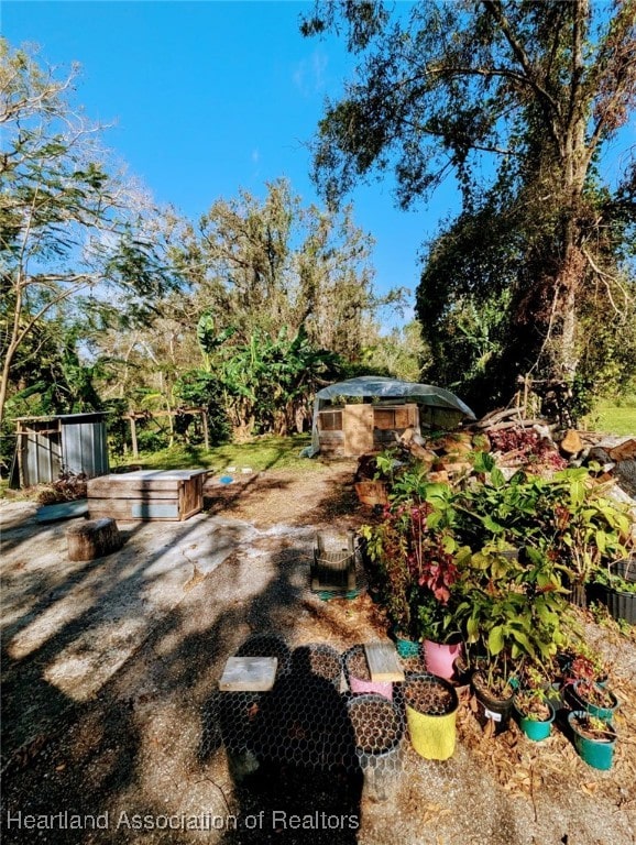 view of yard featuring an outbuilding