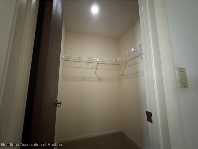 view of walk in closet