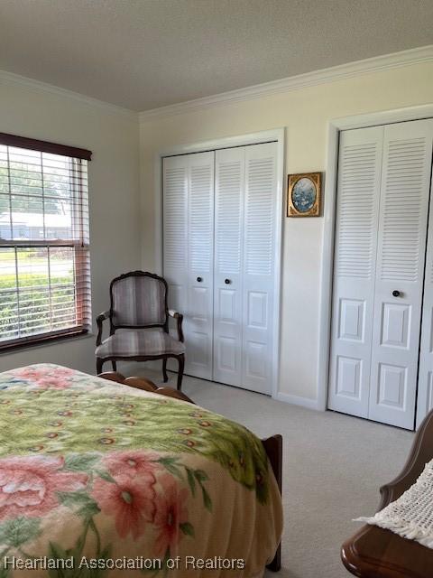 carpeted bedroom with crown molding and multiple closets