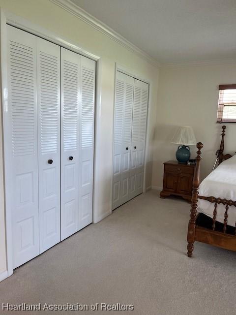 unfurnished bedroom featuring carpet, crown molding, and multiple closets