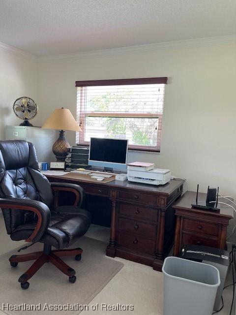 office space with ornamental molding, a textured ceiling, and a wealth of natural light