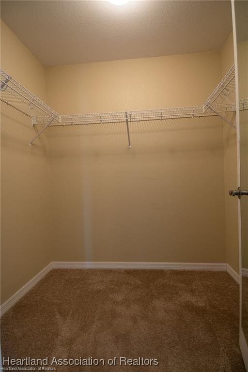 spacious closet with carpet flooring