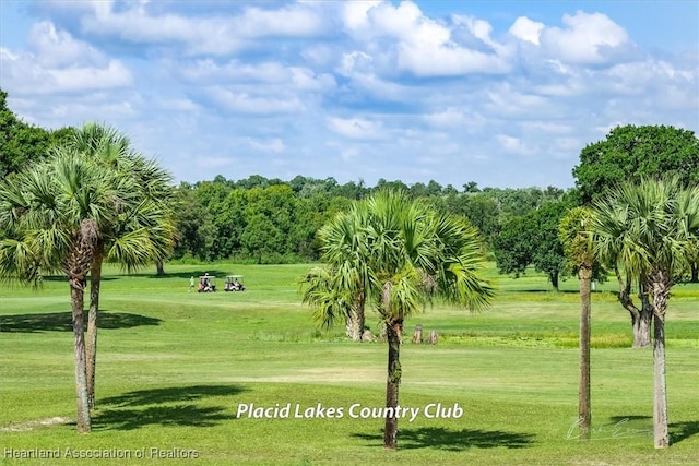 view of community with a lawn