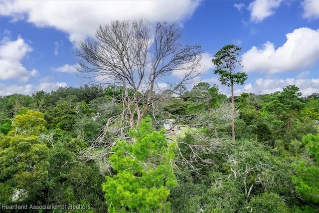 view of local wilderness