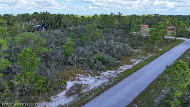 Listing photo 3 for 103 Foxstar Ave NW, Lake Placid FL 33852