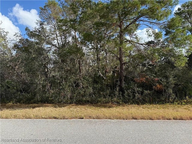 118 Fillmore Ave, Lake Placid FL, 33852 land for sale