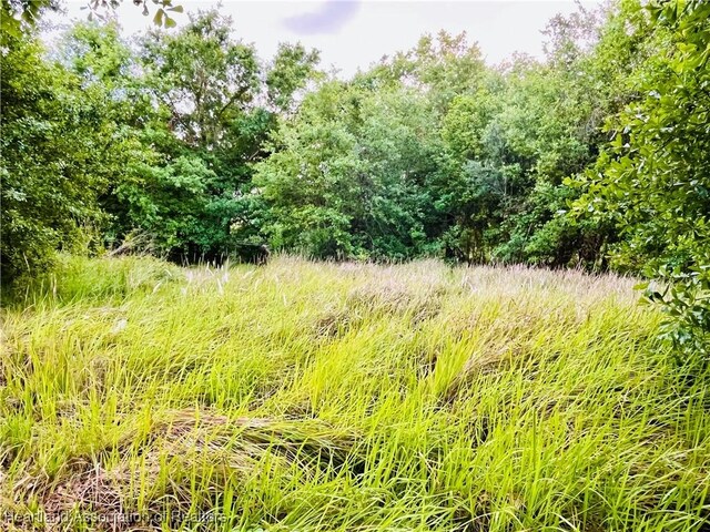 1191 Manley Rd, Wauchula, FL 33873 - photo 4