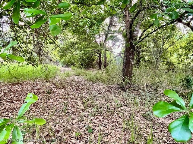1191 Manley Rd, Wauchula, FL 33873 - photo 6