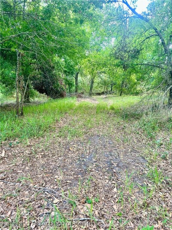 1191 Manley Rd, Wauchula, FL 33873 - photo 7