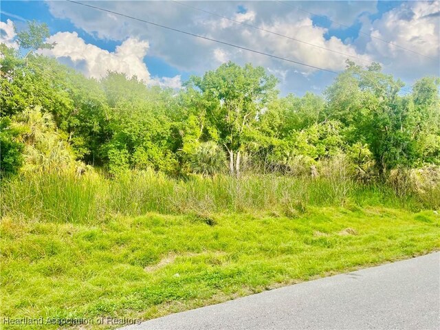 1191 Manley Rd, Wauchula, FL 33873 - photo 5