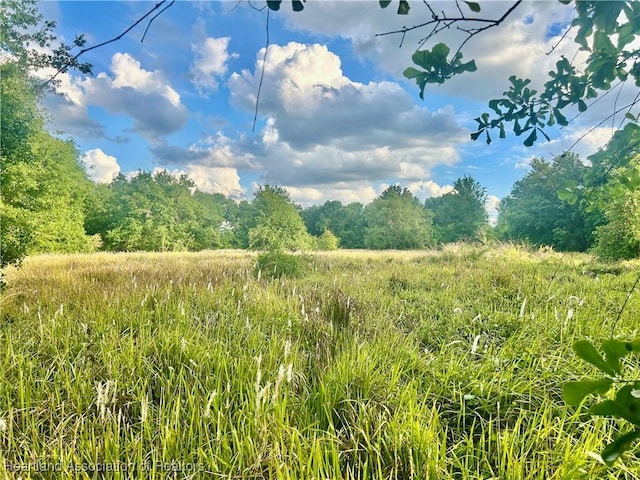 1191 Manley Rd, Wauchula, FL 33873 - photo 1