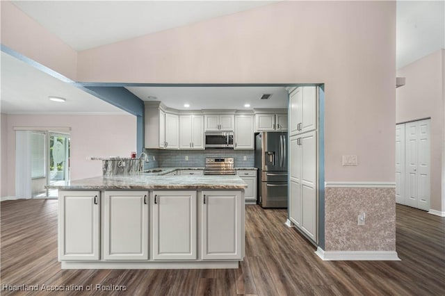 kitchen featuring appliances with stainless steel finishes, dark wood-type flooring, a peninsula, and light stone counters