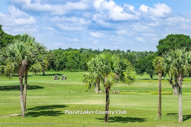 view of community featuring a lawn