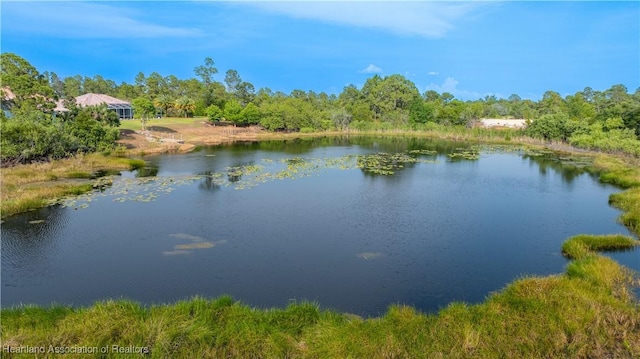 671 Lake Tina Dr, Lake Placid, FL 33852 - water view featuring a forest