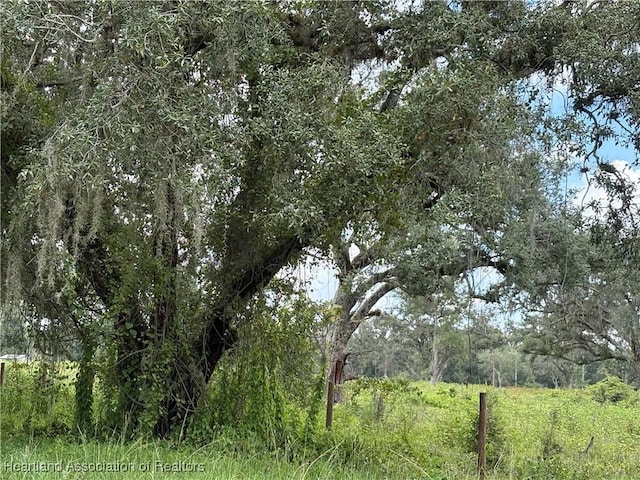 900 County Road 731, Venus, FL 33960 - photo 7
