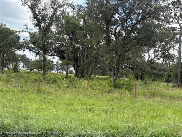 900 County Road 731, Venus, FL 33960 - photo 3