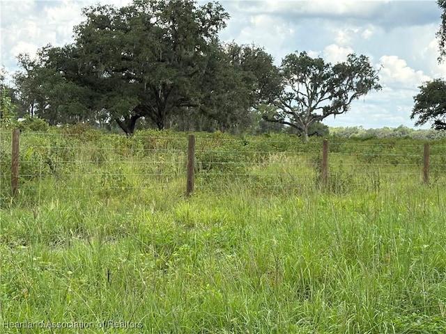 900 County Road 731, Venus, FL 33960 - photo 4
