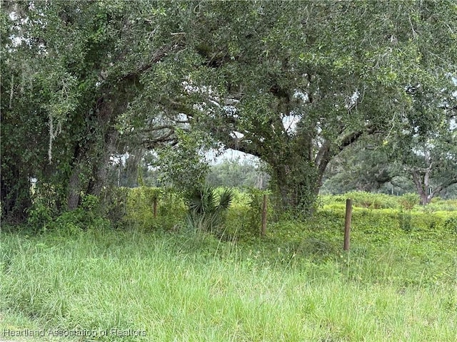 900 County Road 731, Venus, FL 33960 - photo 6