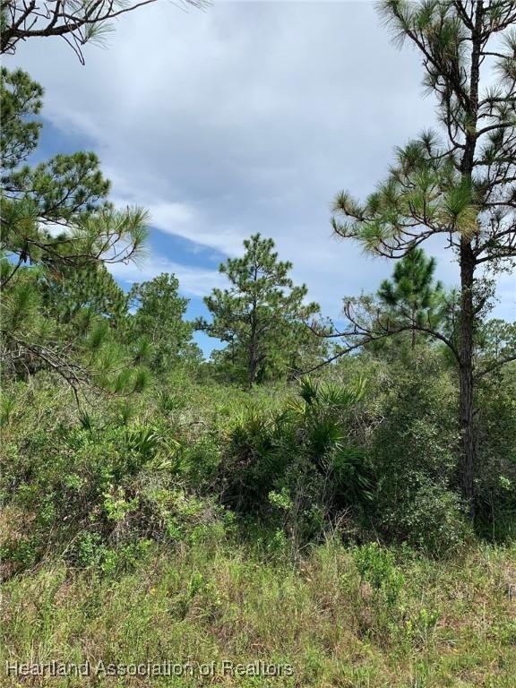 352 Otter Ave NW, Lake Placid, FL 33852 - photo 5