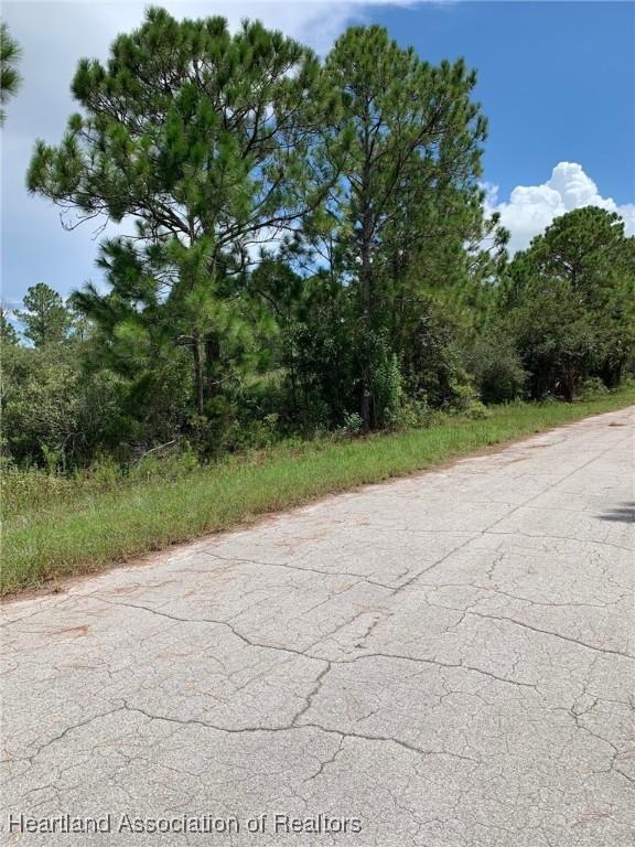 352 Otter Ave NW, Lake Placid, FL 33852 - photo 4