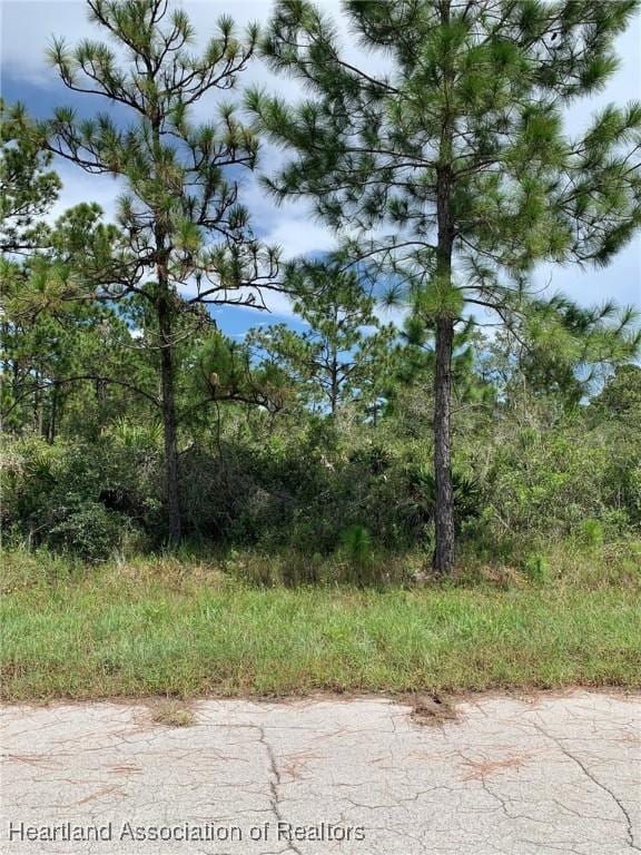 352 Otter Ave NW, Lake Placid FL, 33852 land for sale