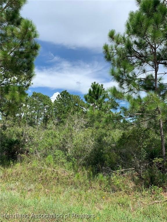 352 Otter Ave NW, Lake Placid, FL 33852 - photo 6