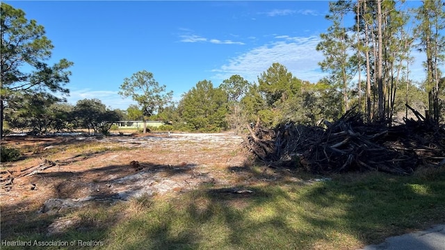 1028 Mimosa St, Lake Placid FL, 33852 land for sale