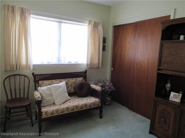 sitting room featuring carpet flooring
