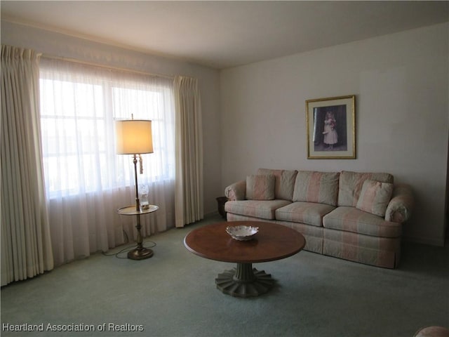 living area with carpet flooring