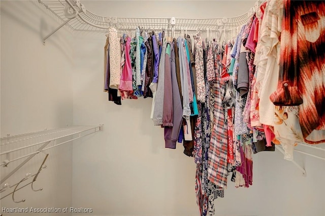 view of spacious closet